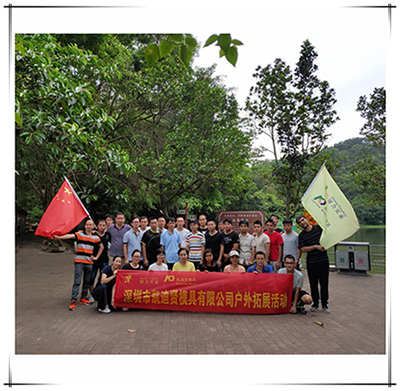 moldworldservice Mould Team Building Activity