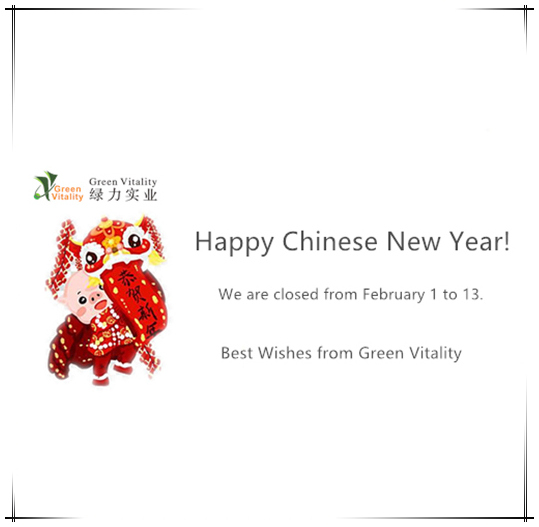 moldworldservice будет закрыт с 1 по 13 февраля для CNY